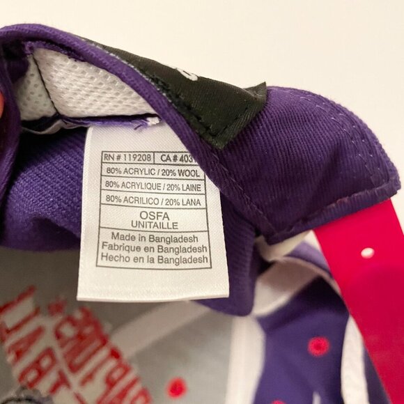 Adidas Toronto Raptors Snapback Hat NBA Adjustable Cap - Picture 14 of 16